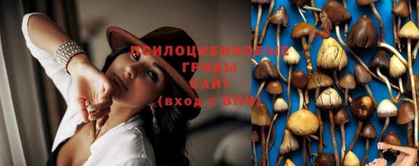 не бодяженный Беломорск