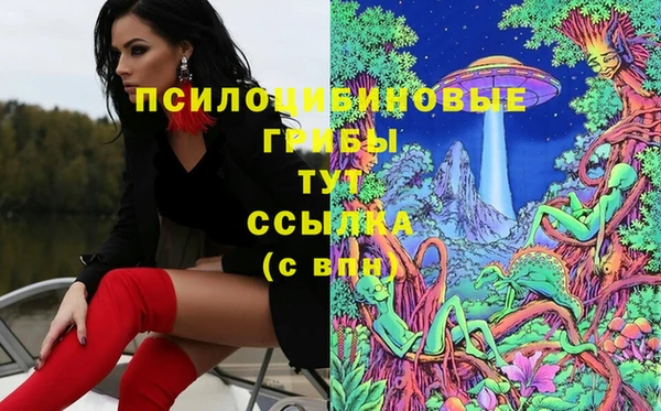 дживик Белоозёрский