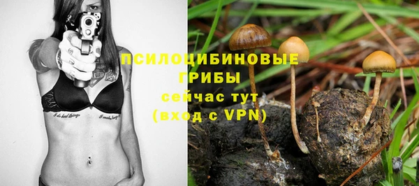 дживик Белоозёрский